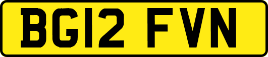 BG12FVN