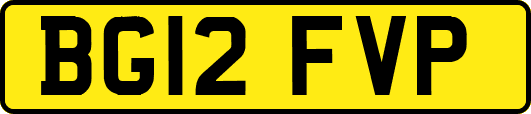 BG12FVP