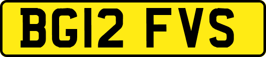 BG12FVS