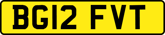 BG12FVT