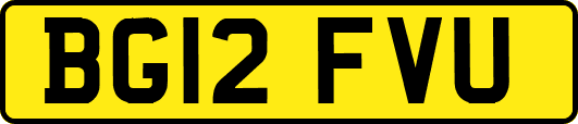 BG12FVU
