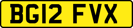 BG12FVX
