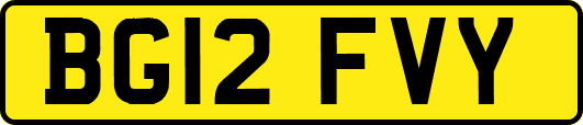 BG12FVY