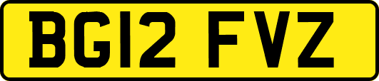 BG12FVZ