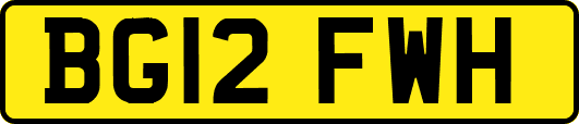 BG12FWH