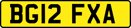 BG12FXA