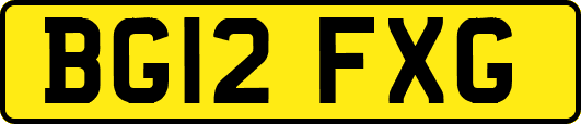 BG12FXG