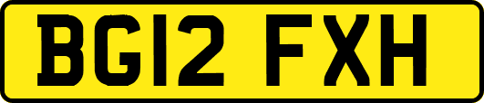 BG12FXH