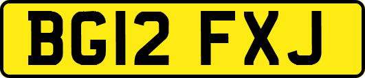 BG12FXJ