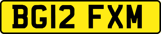 BG12FXM