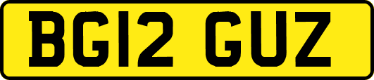 BG12GUZ