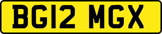 BG12MGX
