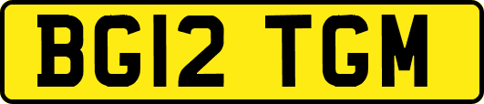 BG12TGM