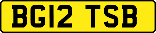 BG12TSB