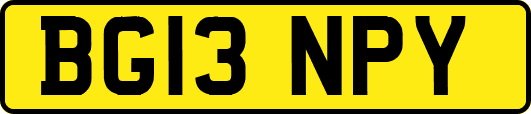 BG13NPY