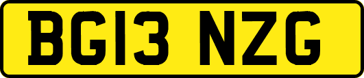 BG13NZG