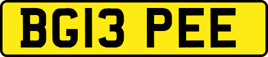 BG13PEE