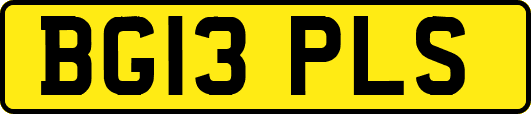 BG13PLS