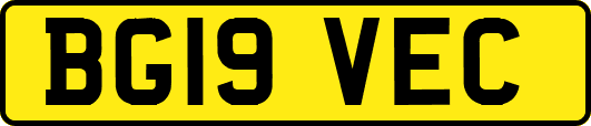 BG19VEC