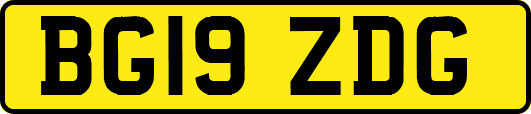 BG19ZDG