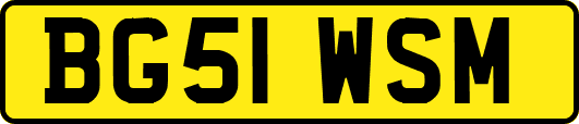 BG51WSM