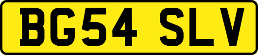 BG54SLV