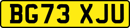 BG73XJU