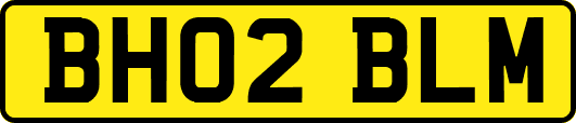 BH02BLM