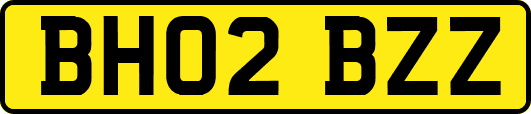 BH02BZZ