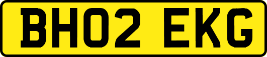 BH02EKG