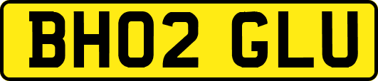 BH02GLU