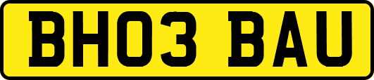 BH03BAU