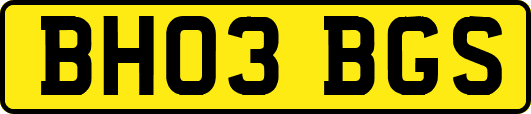 BH03BGS
