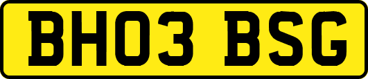 BH03BSG