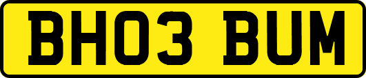 BH03BUM