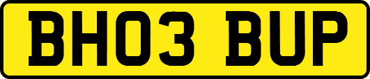 BH03BUP