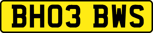BH03BWS