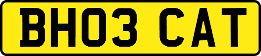 BH03CAT