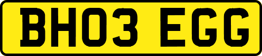 BH03EGG