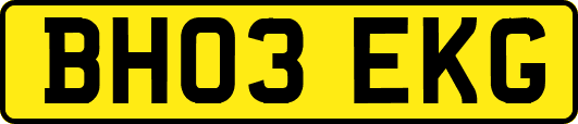 BH03EKG