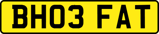 BH03FAT