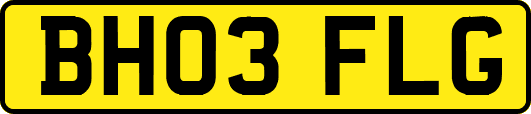BH03FLG