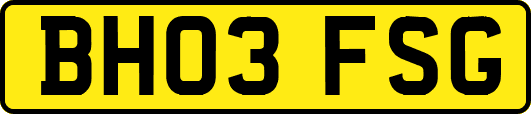 BH03FSG