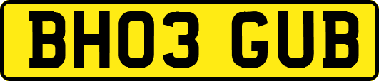 BH03GUB
