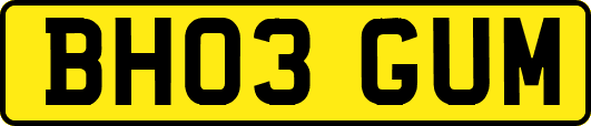 BH03GUM