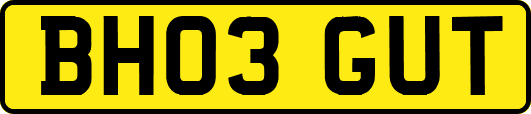 BH03GUT
