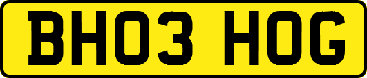 BH03HOG