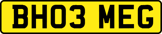 BH03MEG