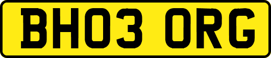 BH03ORG