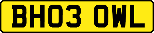 BH03OWL